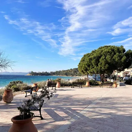 Le Lavandou, 2 Pieces, 6 Personnes - Fr-1-251-455 Apartment