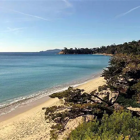 Apartment Le Lavandou, 2 Pieces, 6 Personnes - Fr-1-251-455 *
